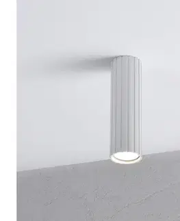 Svietidlá BRILAGI - Bodové svietidlo CRISPINA 1xGU10/10W/230V 20 cm biela 8590828132479