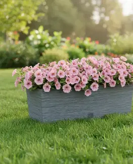 Záhradné kvetináče ProsperPlast Kvetináč FURU CASE | betón 58 cm