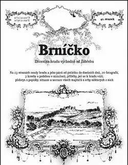 Slovensko a Česká republika Brníčko - zřícenina hradu východně od Zábřehu - Rostislav Vojkovský