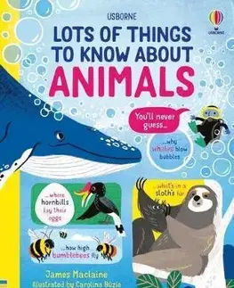 Príroda Lots of Things to Know About Animals - James Maclaine,Carolina Buzio