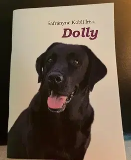 Beletria - ostatné Dolly - Sáfrányné Kobli Írisz