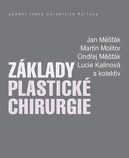 Chirurgia, ortopédia, traumatológia Základy plastické chirurgie - Jan Měšťák,Martin,Ondřej Měšťák,Kalinová Lucie a kolektív