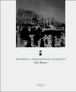 Česká poézia Dynamika s harmonickou opojností - Aleš Kauer