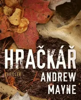 Detektívky, trilery, horory Hračkář, 2. vydání - Andrew Mayne