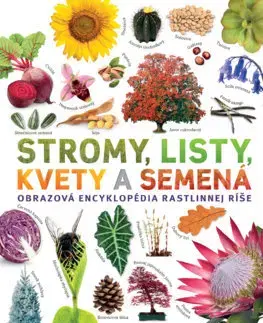Spoznávame prírodu Stromy, listy, kvety a semená - Sarah Jose,Jana Brožíková