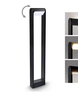 Záhradné lampy BRILAGI - LED Vonkajšia lampa CROTONE LED/7W/230V IP54 80 cm WO-HR60441-2-800-OEM