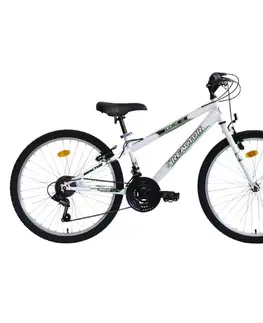Bicykle Juniorský bicykel Reactor Colt 24" 9.0 • 140-165 cm čierna - M (17", 140-165 cm)