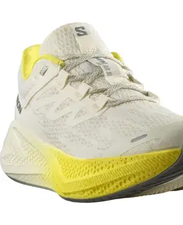 Cesta Salomon Aero Glide 3 M Veľkosť: 42 2/3 EUR