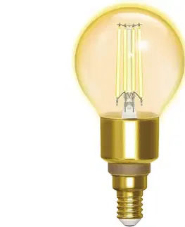 Žiarovky  B.V. LED Stmievateľná žiarovka FILAMENT G45 E14/4,5W/230V 2700-6500K Wi-Fi -  S10201BS1