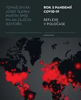 Eseje, úvahy, štúdie Rok s pandemií covid-19 Reflexe v poločase - Kolektív autorov