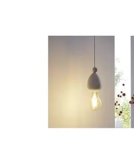 Svietidlá Eglo 49377 - Závesné svietidlo AVOLTRI 1xE27/60W/230V 49377
