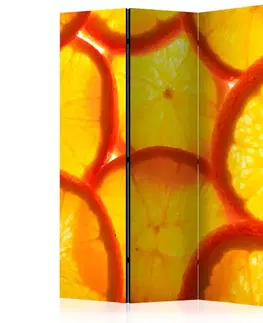 Paravány Paraván Orange slices Dekorhome