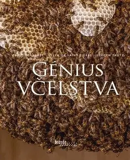 Hmyz Génius včelstva (SK) - Sylla de Saint Pierre,Jürgen Tautz