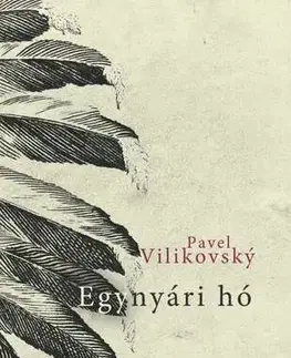 Slovenská beletria Egynyári hó - Pavel Vilikovský