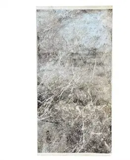Moderné koberce Koberec Terra 1,4/1,9 DT09A TRS64