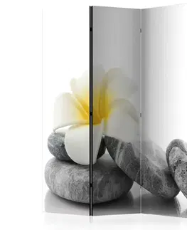 Paravány Paraván White Lotus Dekorhome
