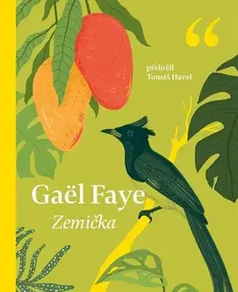Svetová beletria Zemička - Gaël Faye,Havel Tomáš