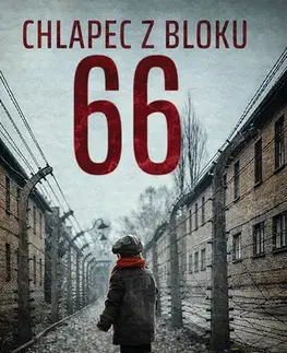 Historické romány Chlapec z bloku 66 - Limor Regev