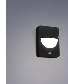 Svietidlá Eglo 98705 - Vonkajšie svietidlo so senzorom SALVANESCO 1xE27/28W/230V IP44 98705