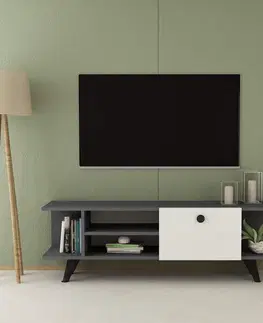 TV stolíky OHAIO TV stolík, antracit / biela