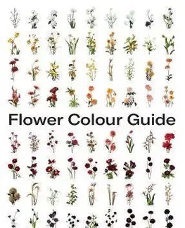 Cudzojazyčná literatúra Flower Colour Guide - Michael Putnam