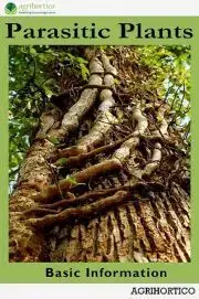 Hobby - ostatné Parasitic Plants
