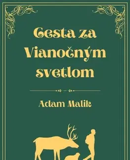 Young adults Cesta za Vianočným svetlom - Adam Malík