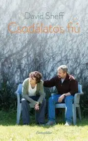 Svetová beletria Csodálatos fiú - David Sheff