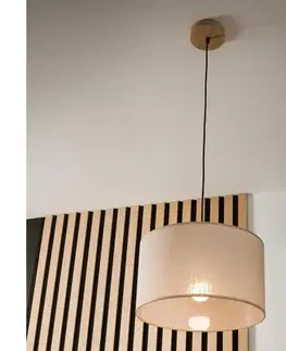 Svietidlá BRILAGI - LED Luster na lanku ANTHONY 1xE27/60W/230V dub/béžová 8590828610335