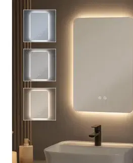 Kúpeľňové zrkadlá BRILAGI - LED stmievateľné kúpeľňové vyhrievané zrkadlo s podsvietením DIANA LED/13W/230V 60x40 cm IP44 FG-GM1106-D6040-13W