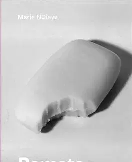 Svetová beletria Pomsta mi patrí - Marie Ndiaye