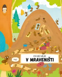 Leporelá, krabičky, puzzle knihy Čo sa deje v mravenisku - Petra Bartíková,Nguyenová Ľuba Anhová