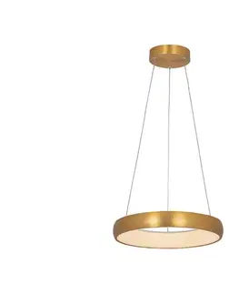 Svietidlá Zam 2046 - LED Stmievateľný luster na lanku LED/30W/230V pr. 40 cm zlatá 2046