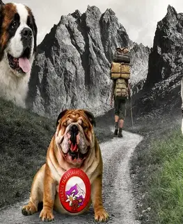Novely, poviedky, antológie Tymko Andrej Keď na horách kráľoval humor