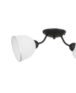 Svietidlá  Stropné svietidlo AVIA 2xE27/60W/230V 176