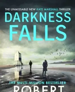 Detektívky, trilery, horory Darkness Falls - Robert Bryndza