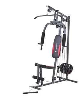 Posilňovacie veže Posilňovacia veža inSPORTline Profigym N10