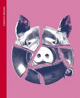 Svetová beletria Antwerp - Roberto Bolano,Natasha Wimmer
