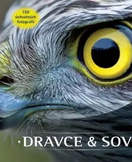 Príroda Dravce a sovy