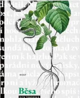 Česká beletria Běsa - Dita Táborská
