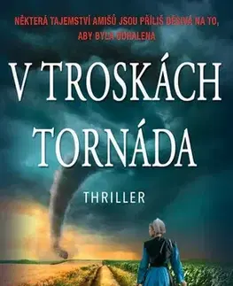 Detektívky, trilery, horory V troskách tornáda - Linda Castillo