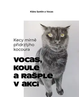 Česká beletria Kecy mírně přidrzlýho kocoura - Klára Santin