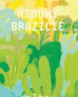 Svetová beletria Neduhy Brazílie - Valter Hugo Mae
