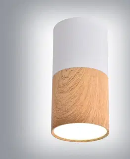 Dizajnérske stropnice Stropné svietidlo Tuba 1x25W GU10 5,8 cm