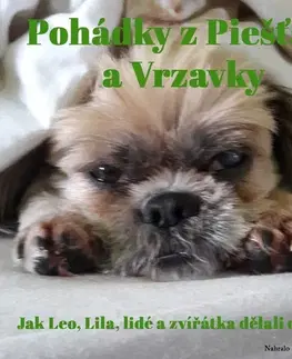 Pre deti a mládež WDBC s.r.o. Pohádky z Piešťan a Vrzavky