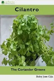 Hobby - ostatné Cilantro, the Coriander Greens - Jose Ciiju Roby