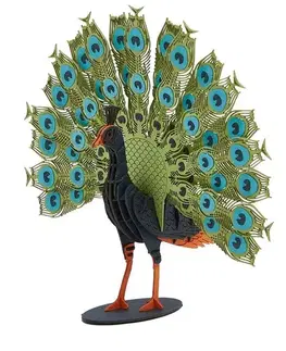 3D puzzle 3D Creative Farebné 3D puzzle Páv