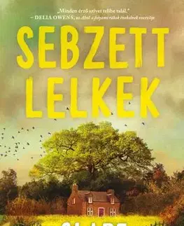 Detektívky, trilery, horory Sebzett lelkek - Clare Leslie Hall
