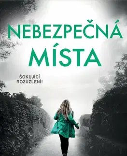 Detektívky, trilery, horory Nebezpečná místa, 2. vydání - Patricia Gibney