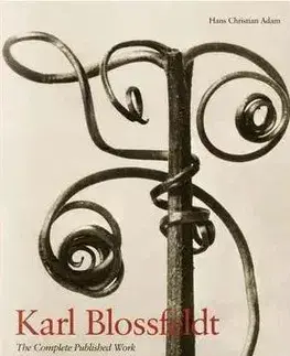 Fotografia Karl Blossfeldt - Adam Hans-Christian